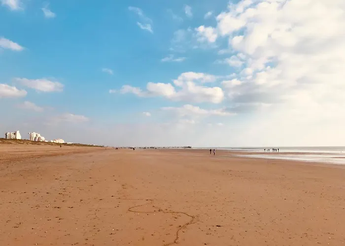 Standing, Luminosite A 100m De La Mer, T3 Prestige 아파트 *