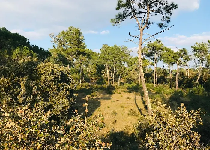 דירה Standing, Luminosite A 100m De La Mer, T3 Prestige *